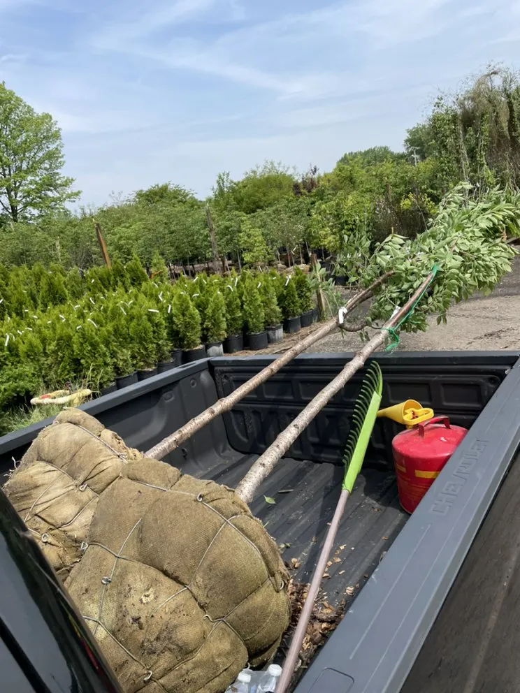 Trusted yard maintenance for beautiful yards across Lanham, MD - Servi­n Landscaping