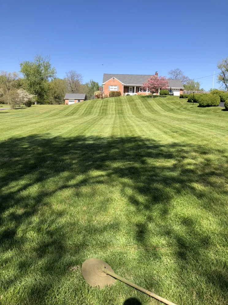 Expert landscaping services with custom design across Lanham, MD - Servi­n Landscaping