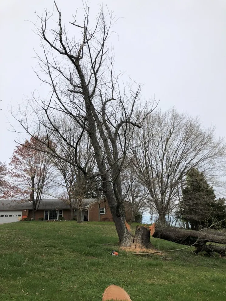 Expert lawn care service for residential properties in Lanham, MD by Servi­n Landscaping