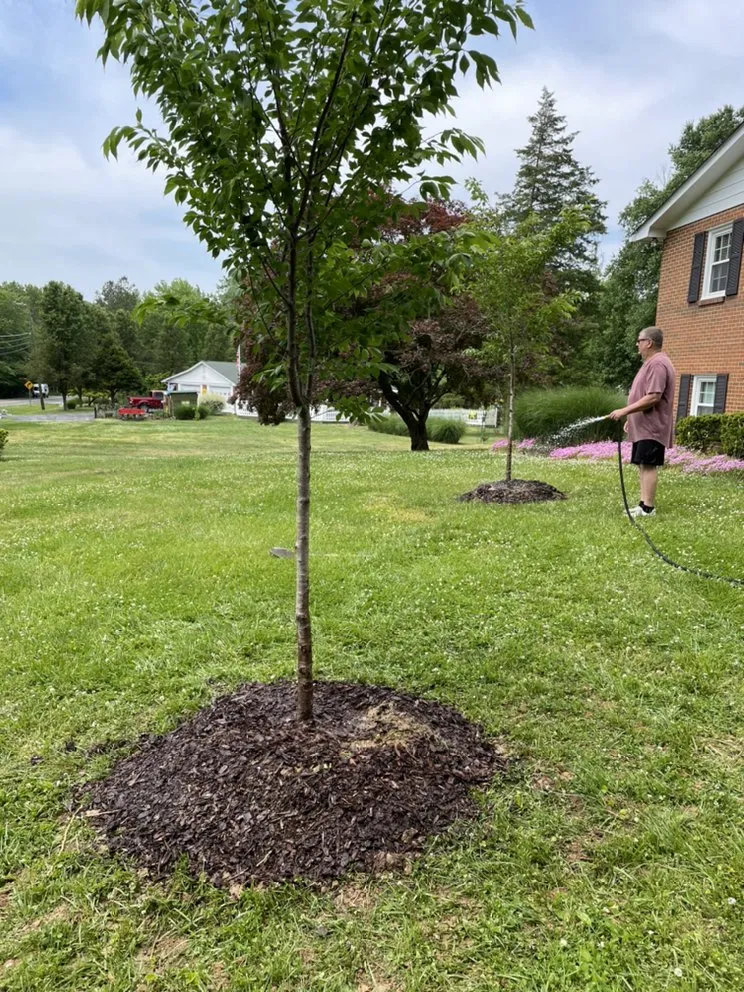 Expert yard maintenance in Lanham, MD by Servi­n Landscaping