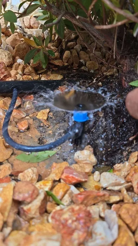 Affordable lawn mowing service for beautiful yards across Windsor, CA - Servin Tree & Landscape Management