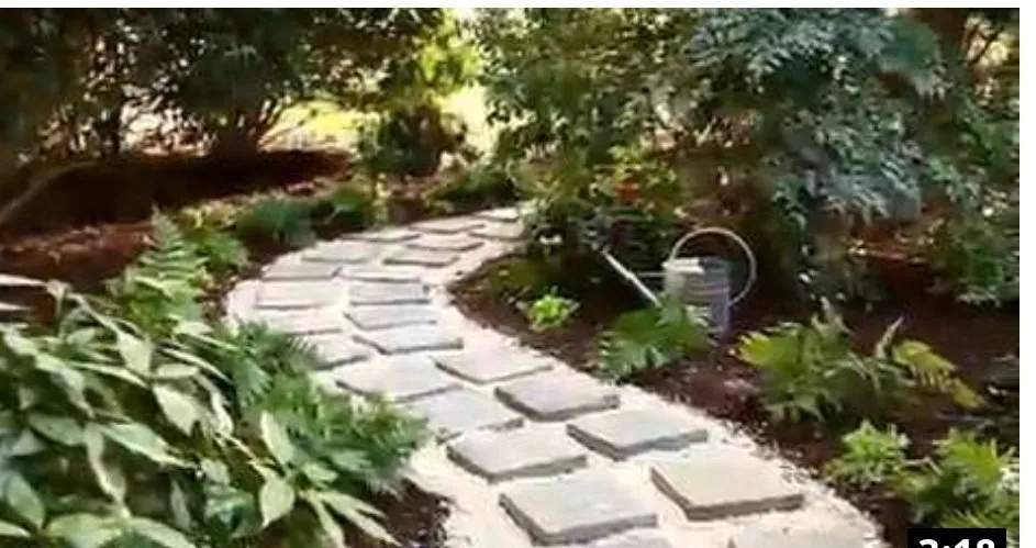 Affordable yard cleanup service in Windsor, CA by Servin Tree & Landscape Management