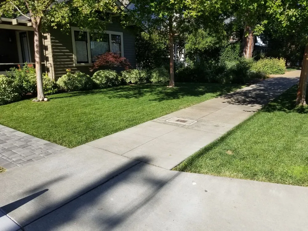 Local lawn care service experts serving Windsor, CA - Servin Tree & Landscape Management