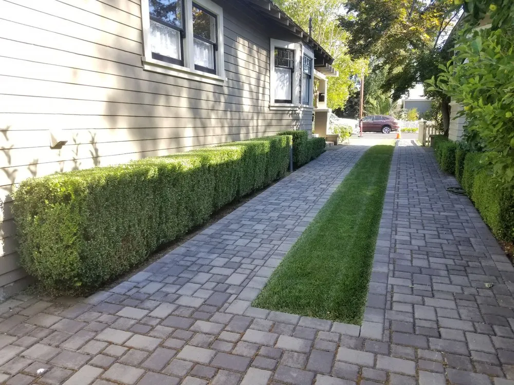 Expert yard cleanup service in Windsor, CA - Servin Tree & Landscape Management