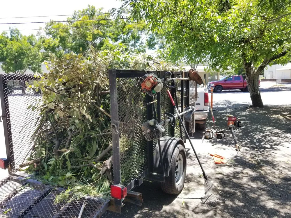 Expert yard maintenance in Windsor, CA - Servin Tree & Landscape Management