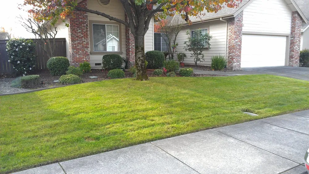 Reliable garden landscaping in Windsor, CA - Servin Tree & Landscape Management