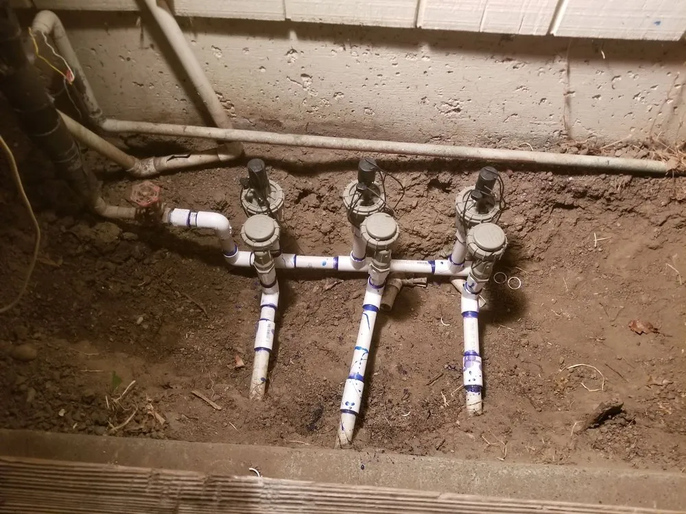 Expert lawn care service for homes across Windsor, CA - Servin Tree & Landscape Management