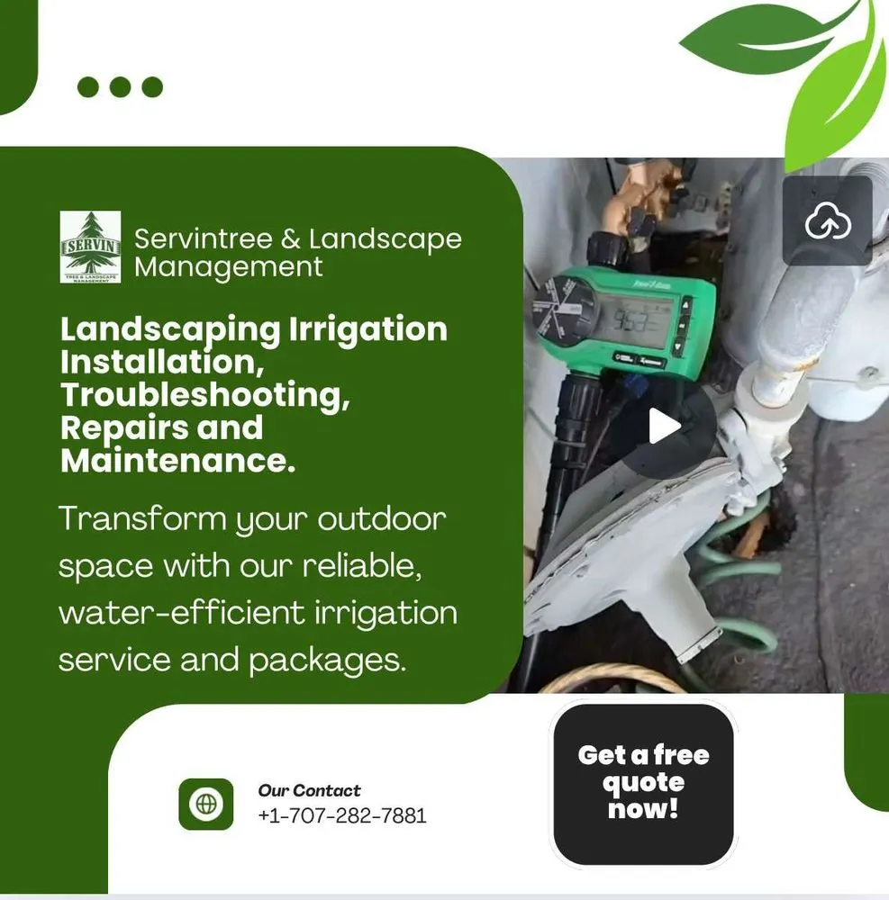 Top-rated yard cleanup service in Windsor, CA - Servin Tree & Landscape Management