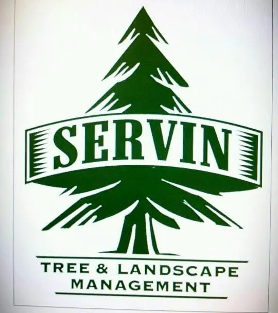 Professional landscaping services in Windsor, CA - Servin Tree & Landscape Management