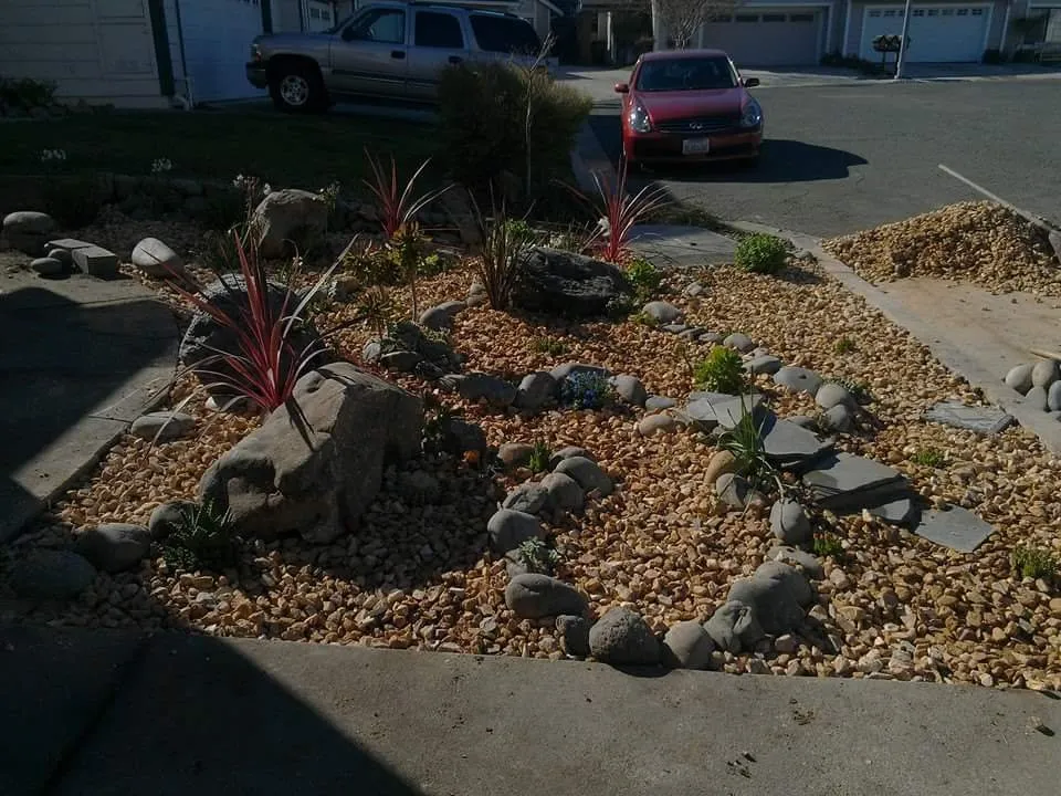 Professional lawn care service for beautiful yards in Windsor, CA by Servin Tree & Landscape Management