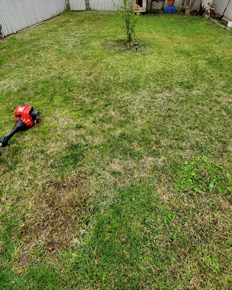 Top-rated residential landscaping for residential properties across Delhi, CA - Servin's Lawncare Service