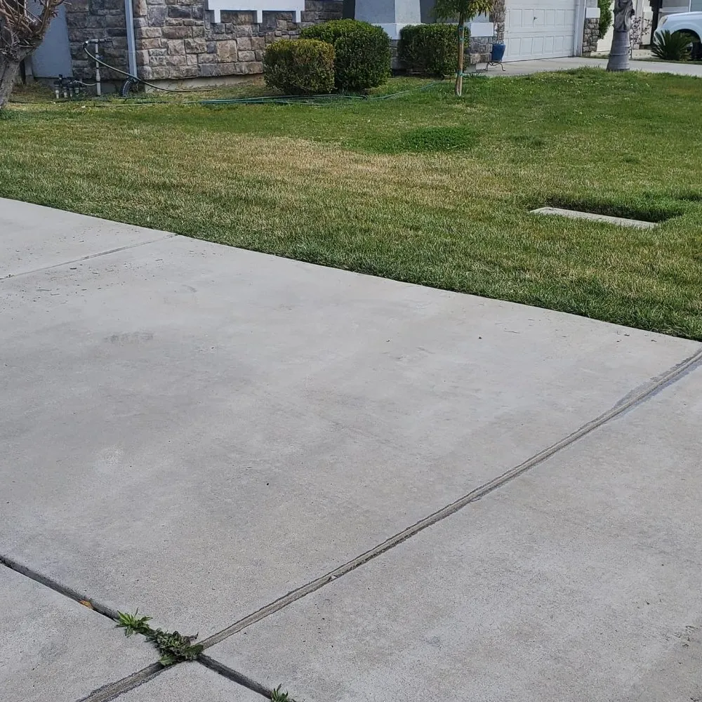 Professional yard cleanup service experts serving Delhi, CA - Servin's Lawncare Service