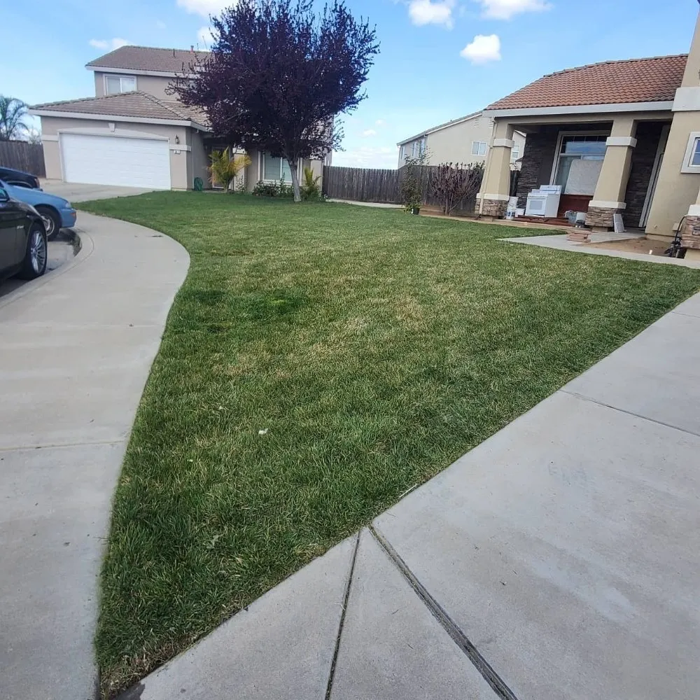 Top-rated lawn care service near you across Delhi, CA - Servin's Lawncare Service