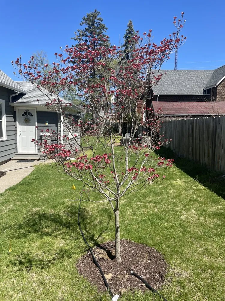 Expert landscaping services for homes across Michigan City, IN - ServiScape