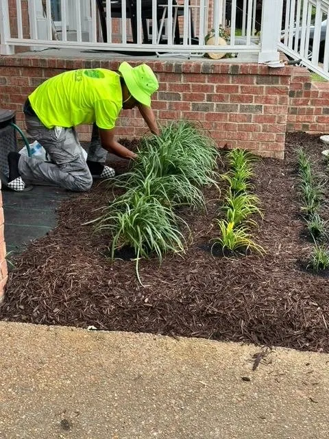 Trusted residential landscaping in Franklin, TN - Serviz Proz