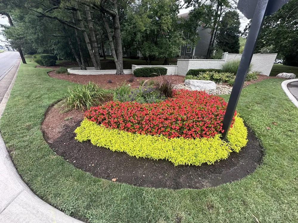 Affordable lawn mowing service in Franklin, TN - Serviz Proz