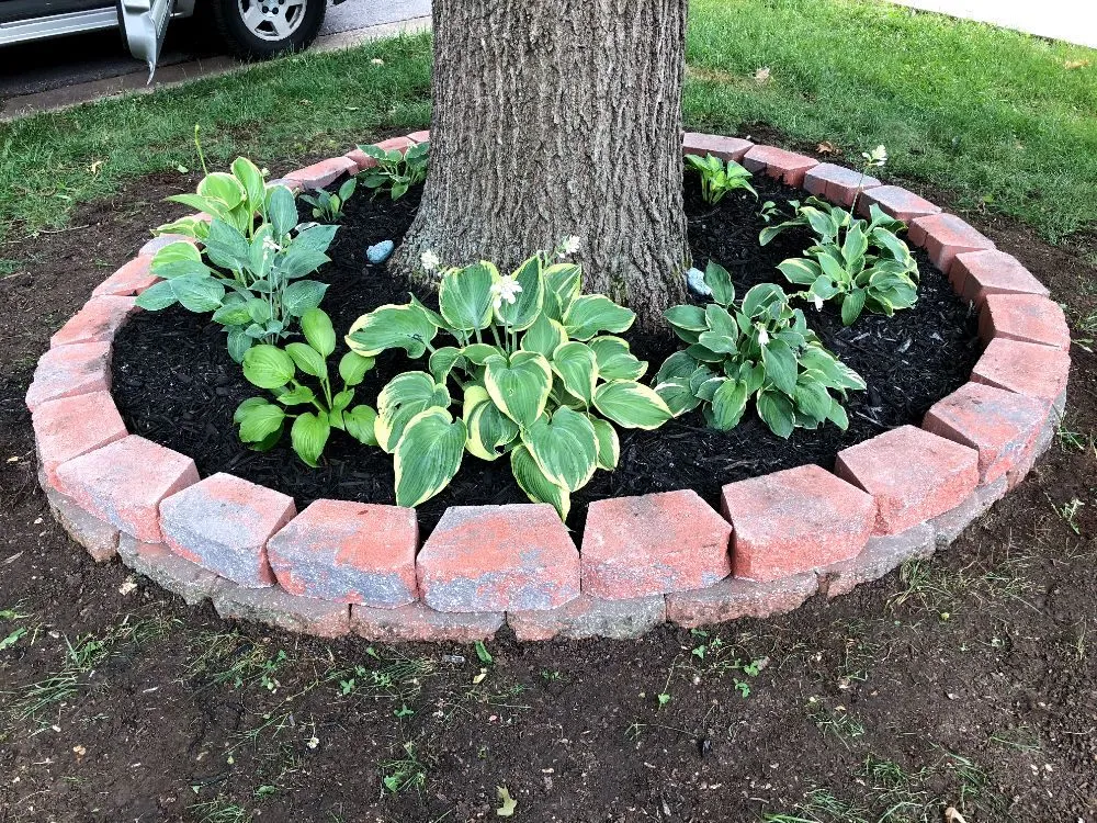 Custom outdoor landscaping for homes in Kansas City, KS by SES Landscape