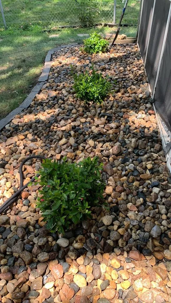 Affordable yard maintenance for residential properties across Kansas City, KS - SES Landscape