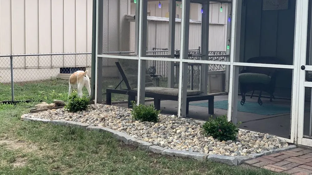 Local residential landscaping for year-round maintenance across Kansas City, KS - SES Landscape