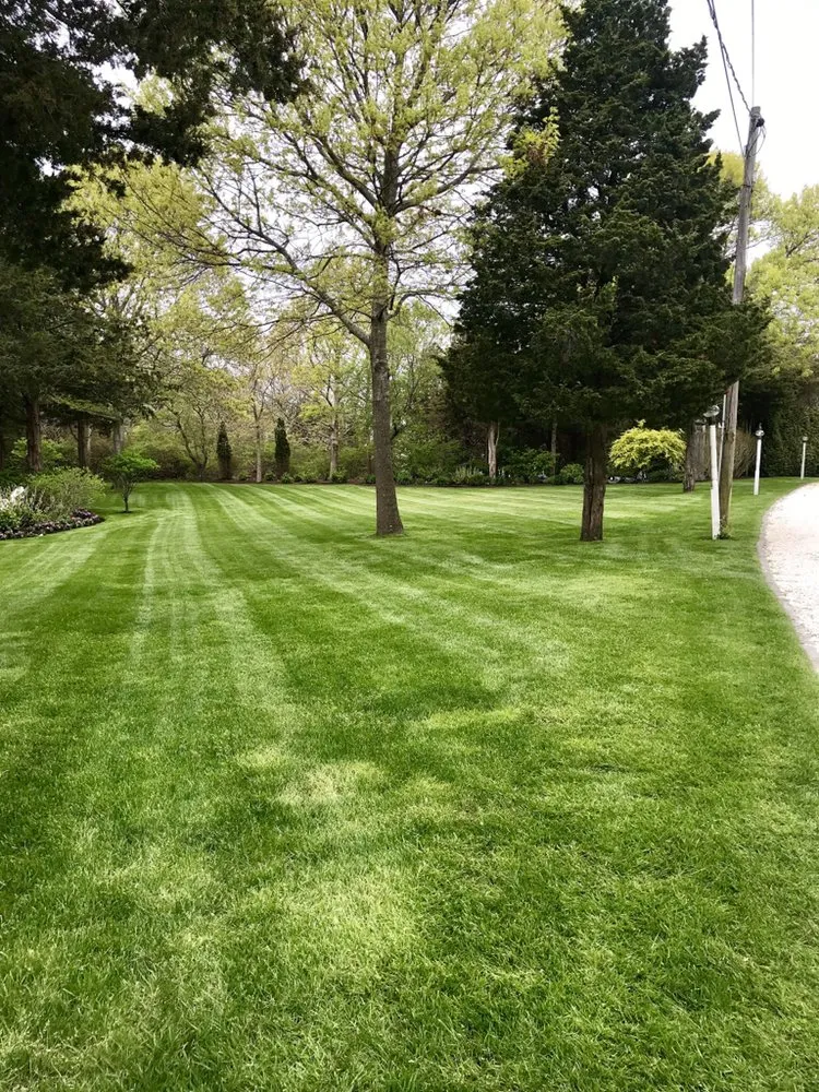Custom landscaping services experts serving South Dennis, MA - Sesuit Landscapes
