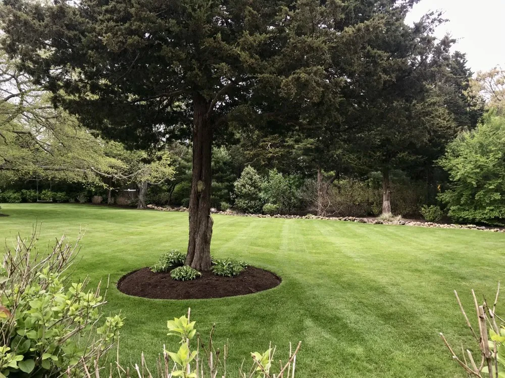 Affordable lawn mowing service for beautiful yards across South Dennis, MA - Sesuit Landscapes