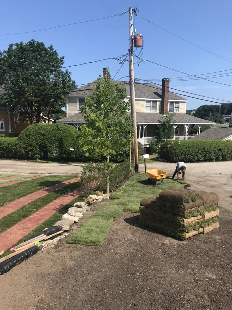 Professional lawn care service for residential properties in South Dennis, MA by Sesuit Landscapes