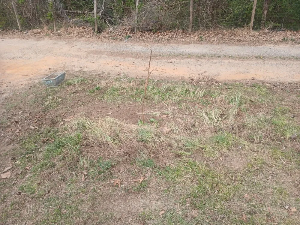 Expert yard cleanup service for outdoor upgrades across Alexander, NC - Set Straight Property Polish