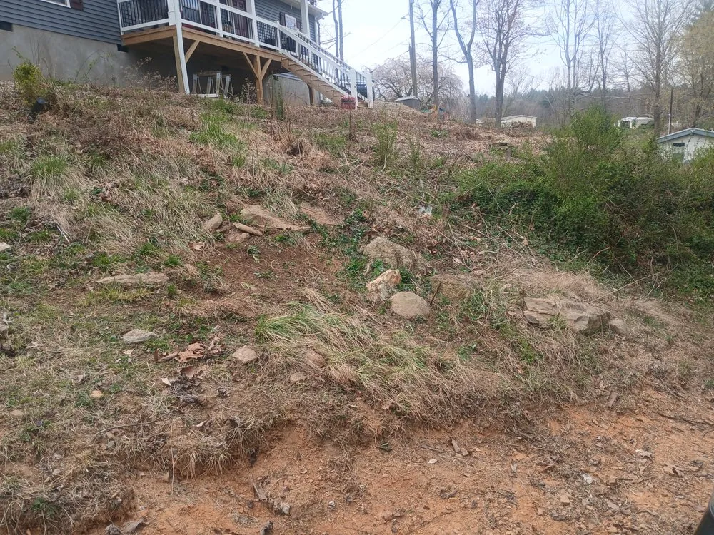 Professional outdoor landscaping for homes across Alexander, NC - Set Straight Property Polish