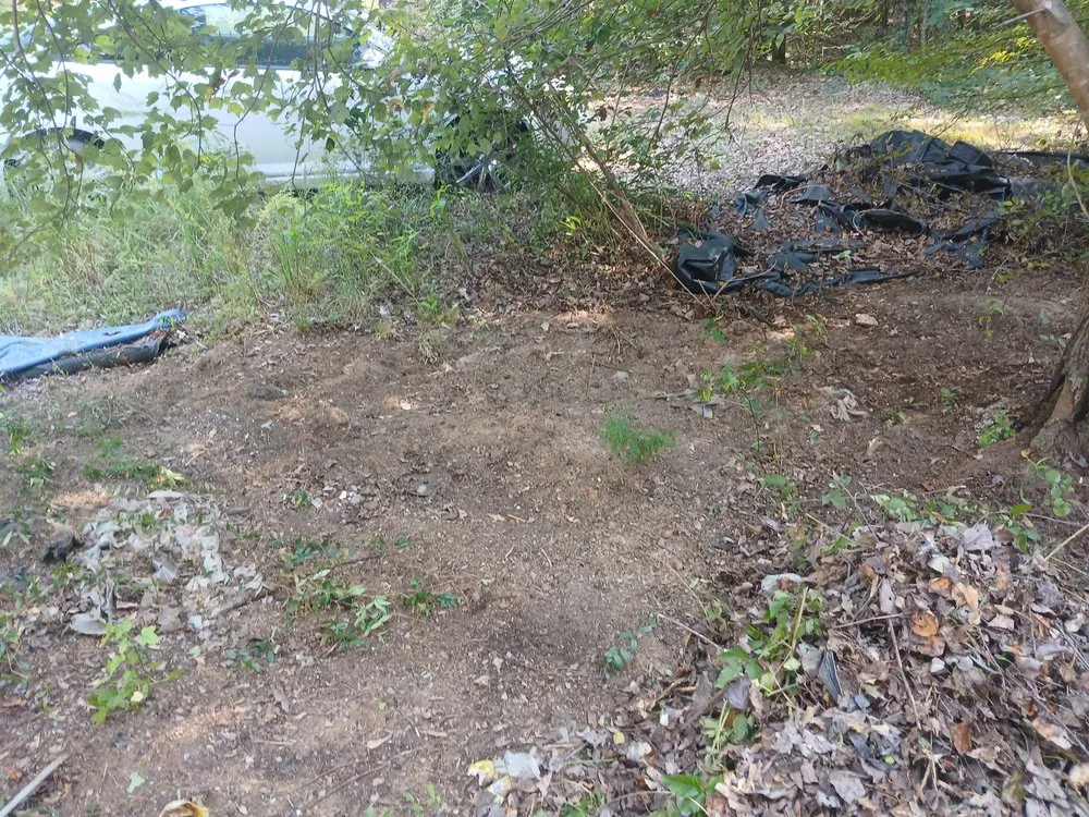 Top-rated lawn care service for beautiful yards in Alexander, NC by Set Straight Property Polish