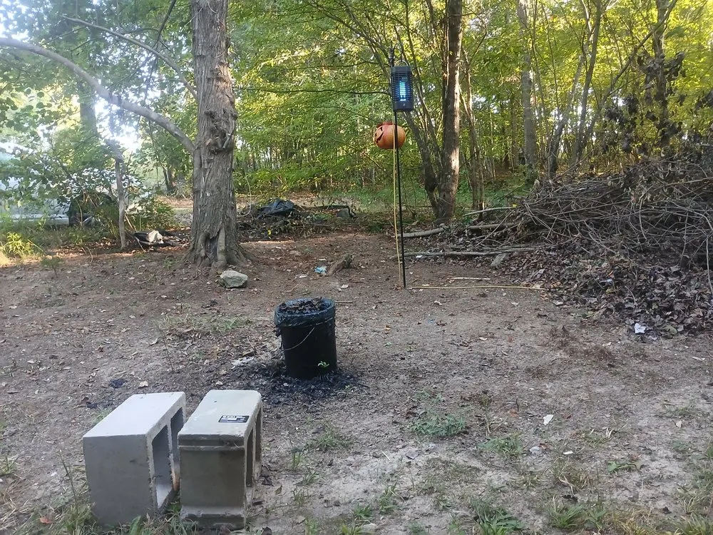 Affordable lawn care service experts serving Alexander, NC - Set Straight Property Polish