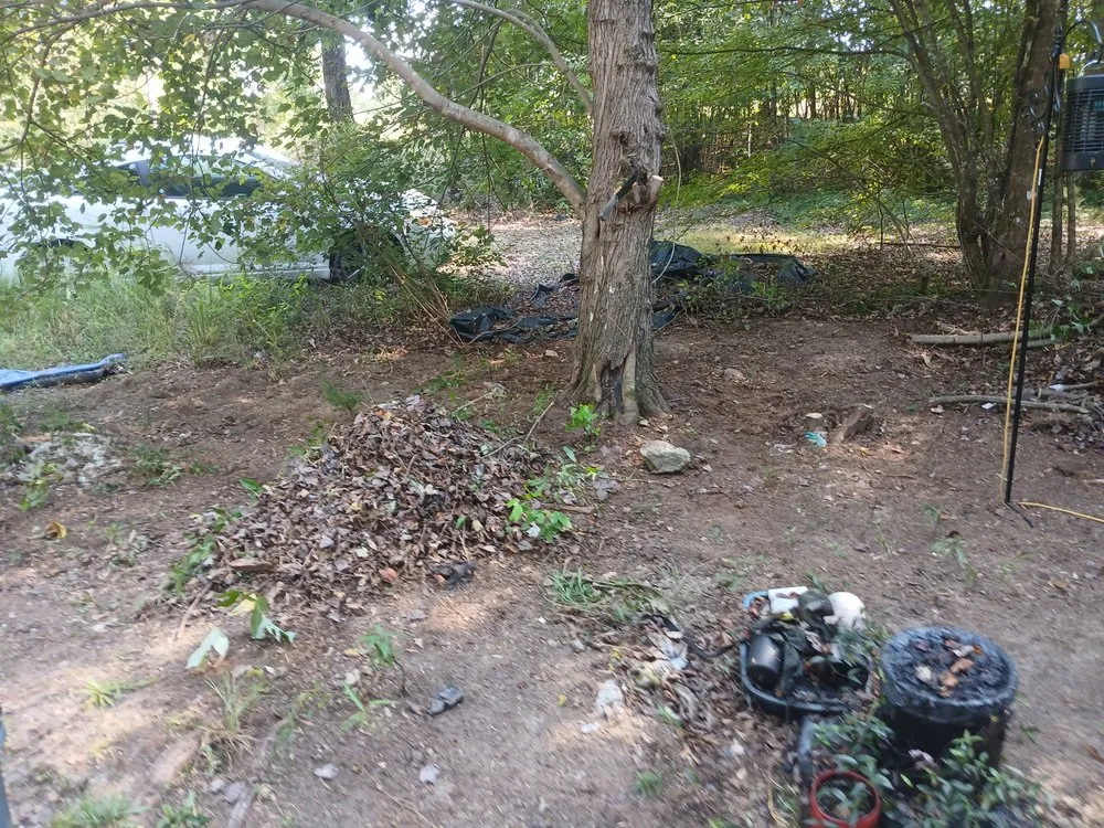 Trusted landscaping services in Alexander, NC by Set Straight Property Polish