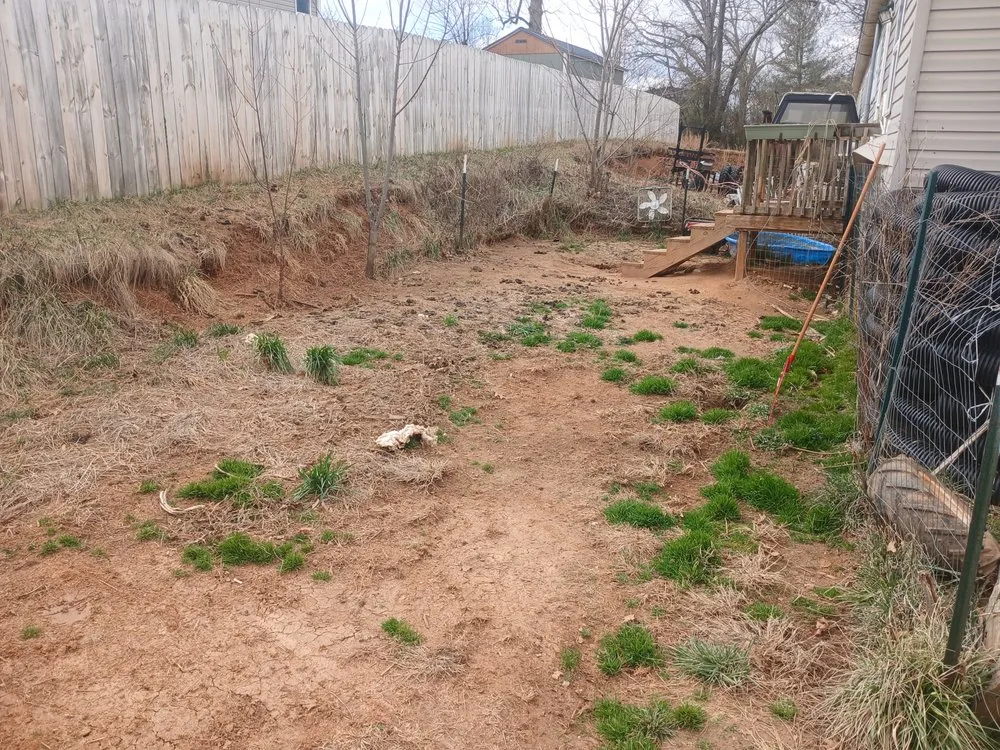 Local outdoor landscaping experts serving Alexander, NC - Set Straight Property Polish