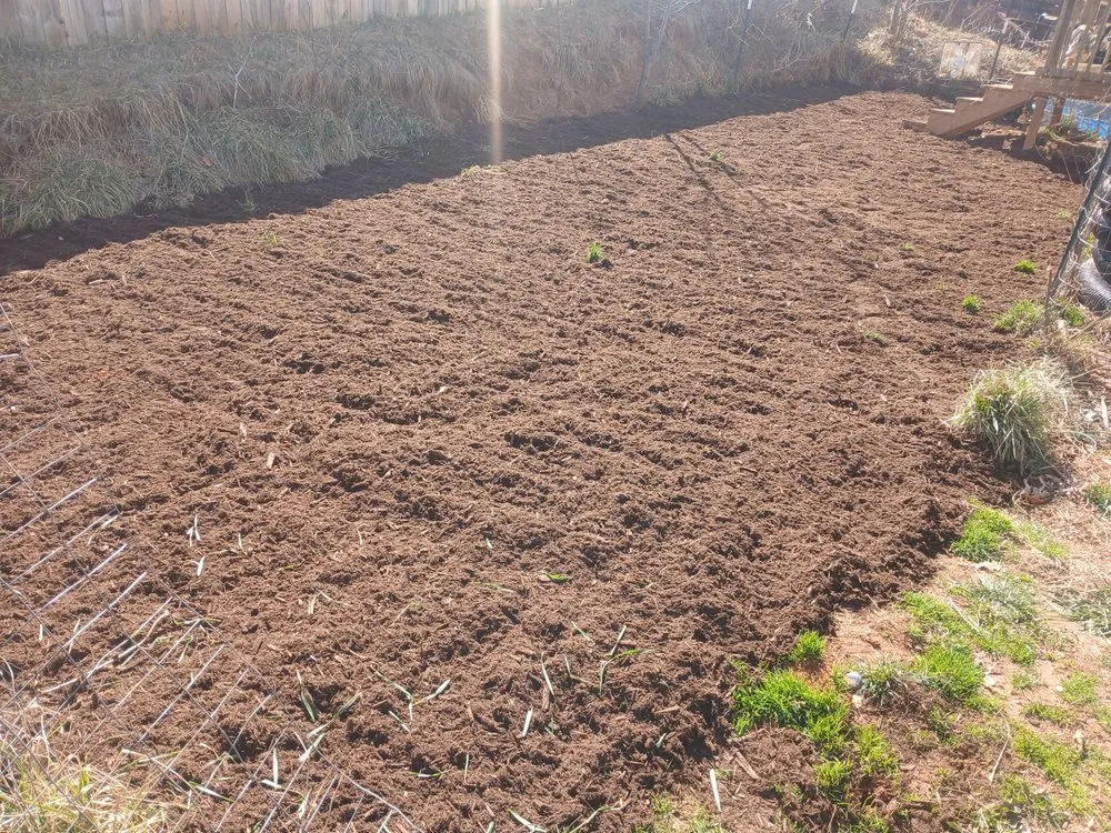 Custom yard maintenance for homes across Alexander, NC - Set Straight Property Polish