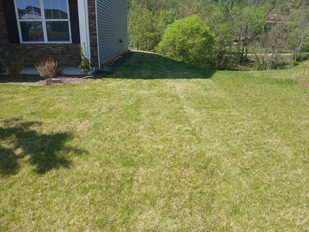 Reliable yard maintenance experts serving Alexander, NC - Set Straight Property Polish