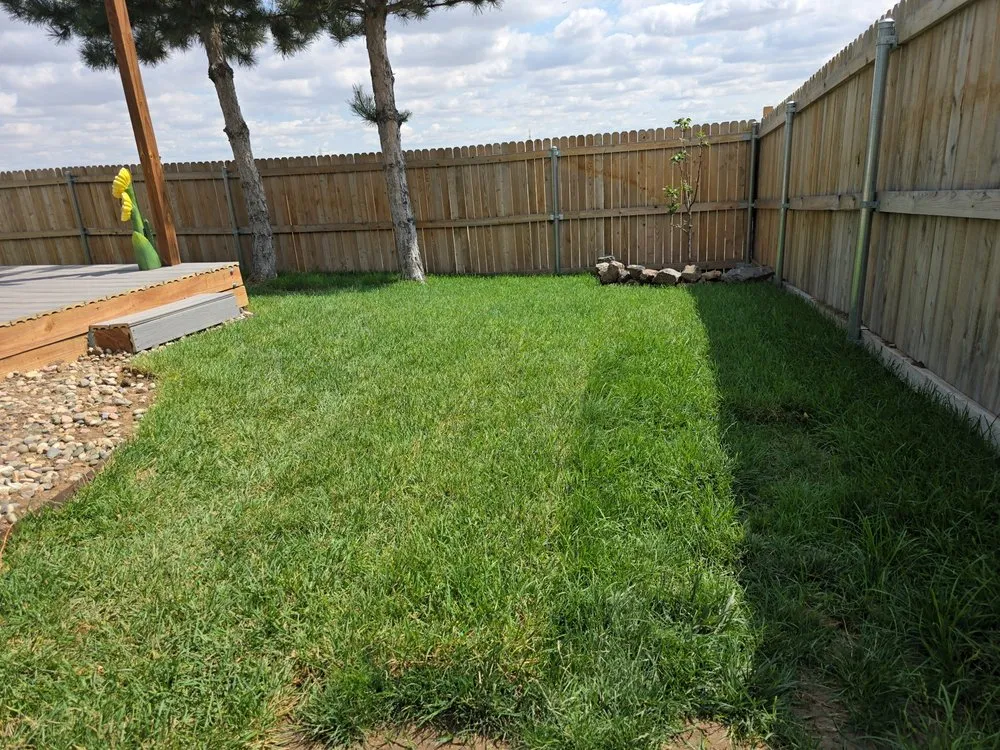 Expert yard cleanup service experts serving Parker, CO - Set The Scene