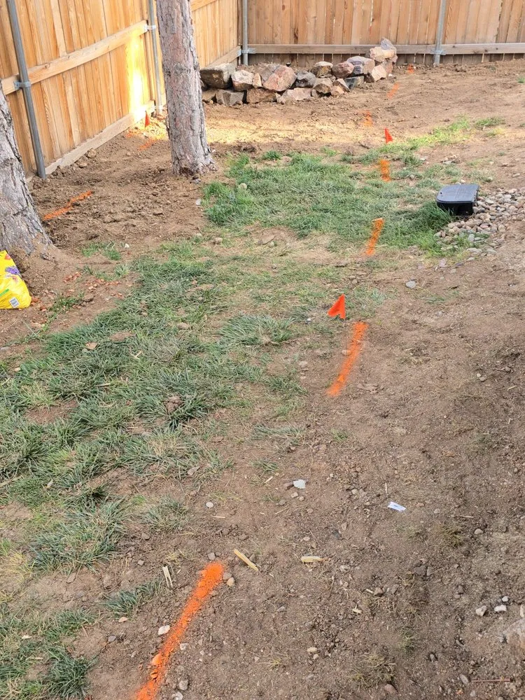 Affordable lawn mowing service for year-round maintenance in Parker, CO by Set The Scene