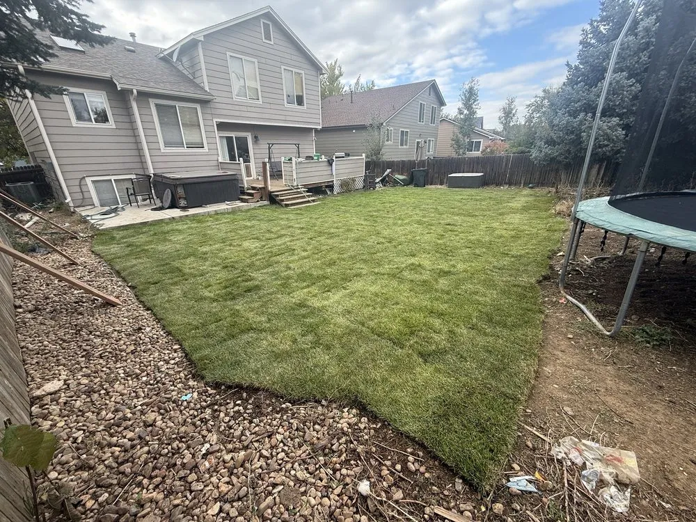 Professional landscaping services experts serving Parker, CO - Set The Scene