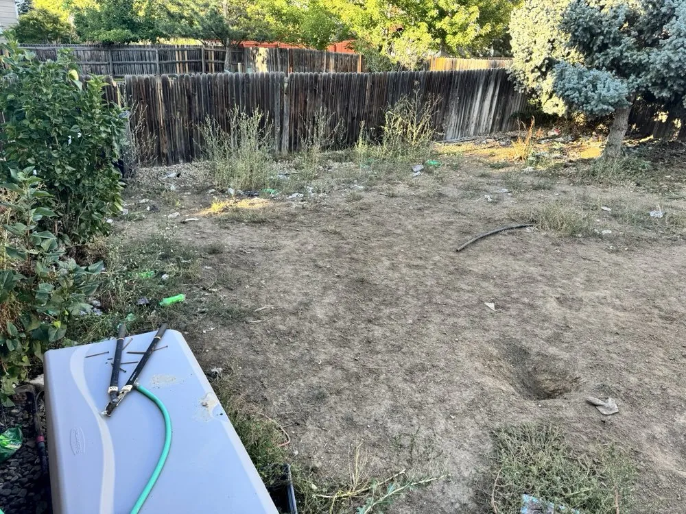 Reliable landscaping services experts serving Parker, CO - Set The Scene