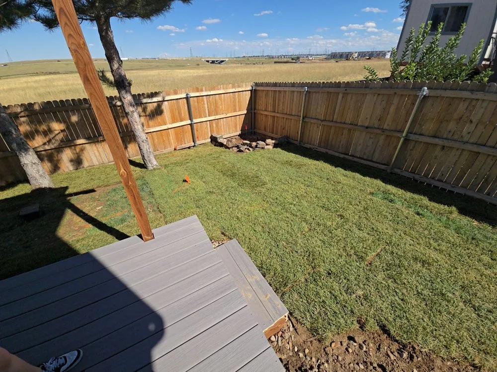 Affordable landscape installation in Parker, CO - Set The Scene