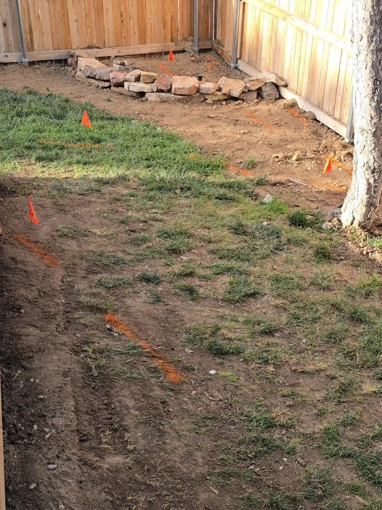 Top-rated yard cleanup service experts serving Parker, CO - Set The Scene