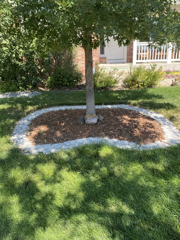 Expert residential landscaping in Parker, CO by Set The Scene