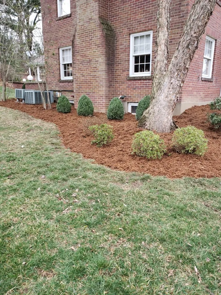Expert lawn care service for homes in Shepherdsville, KY by Setco Land & Hardscape
