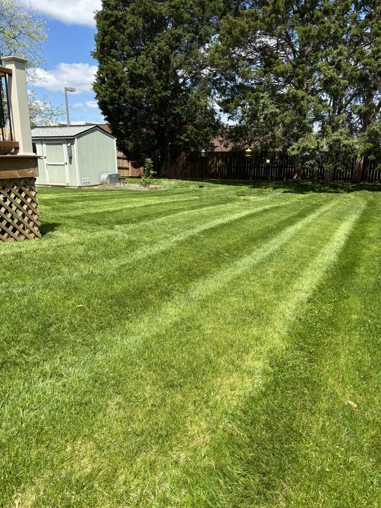 Affordable lawn care service experts serving Shepherdsville, KY - Setco Land & Hardscape