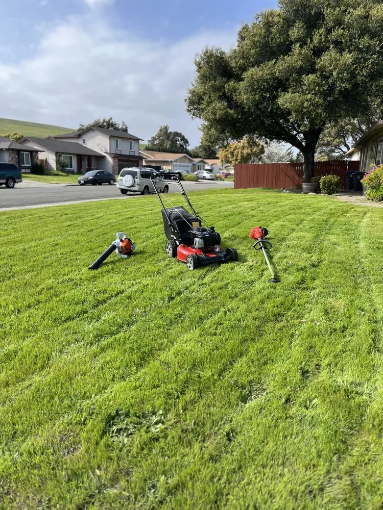 Top-rated lawn care service for outdoor upgrades across Fairfield, CA - Seth lawn and landscape