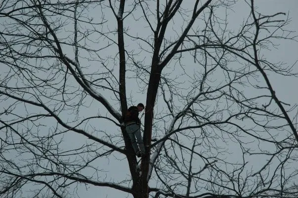 Professional yard maintenance in Geneseo, NY - Seth Phillips Landscaping