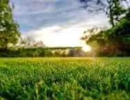 Trusted landscape design experts serving Ada, OK - Seth’s Lawn Care