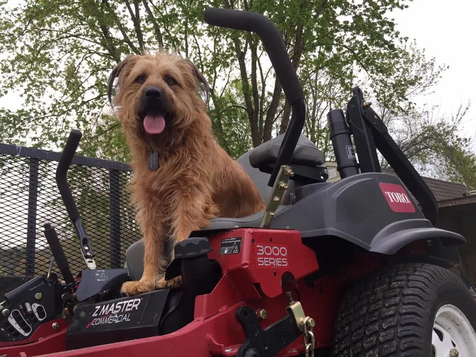 Trusted outdoor landscaping in Sevierville, TN - Seths Lawn Care