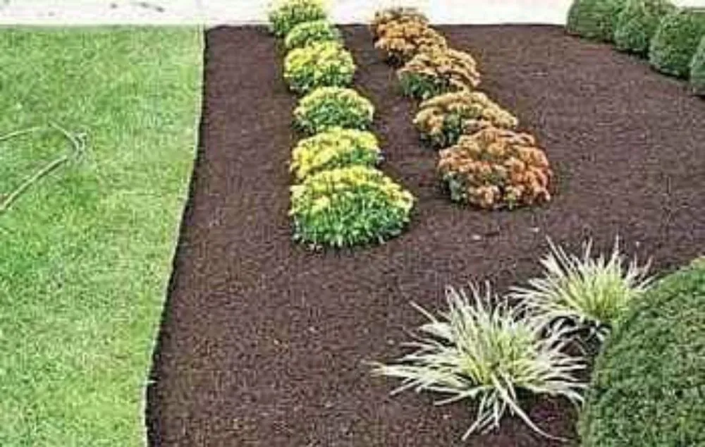 Local landscape installation for beautiful yards in Bassett, VA by Setliff Brothers