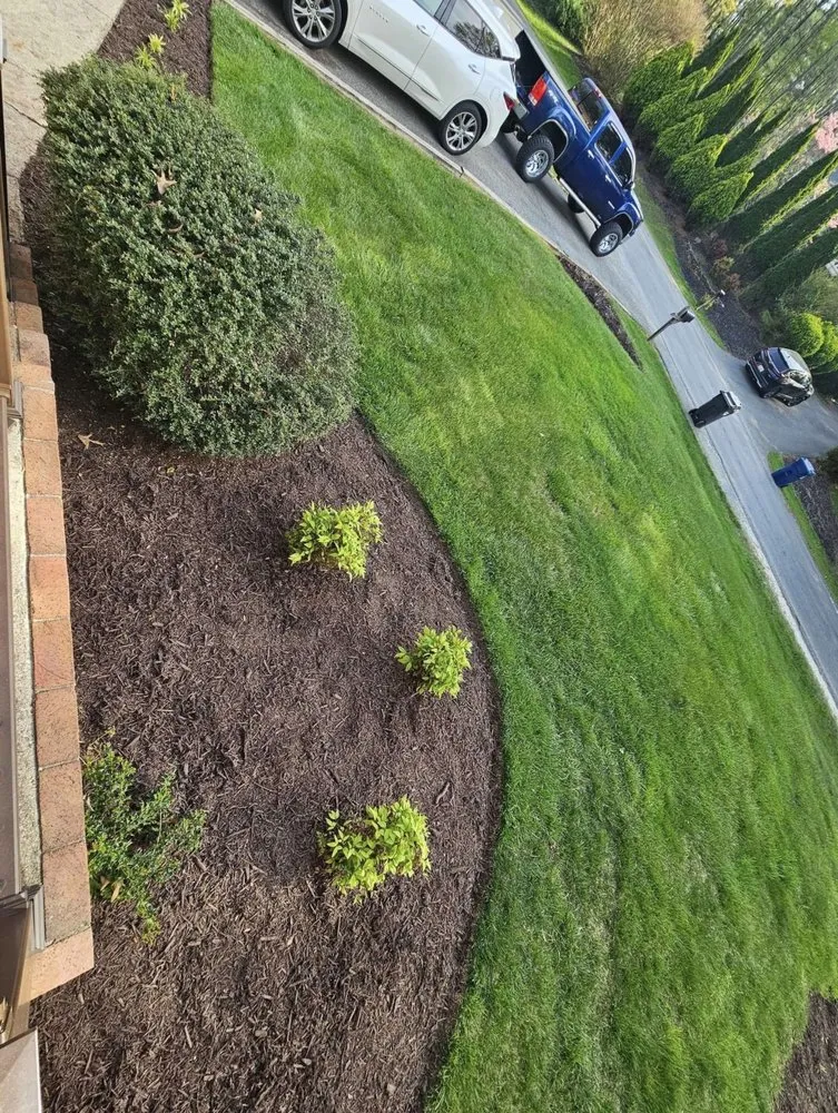 Local lawn care service near you in Bassett, VA by Setliff Brothers