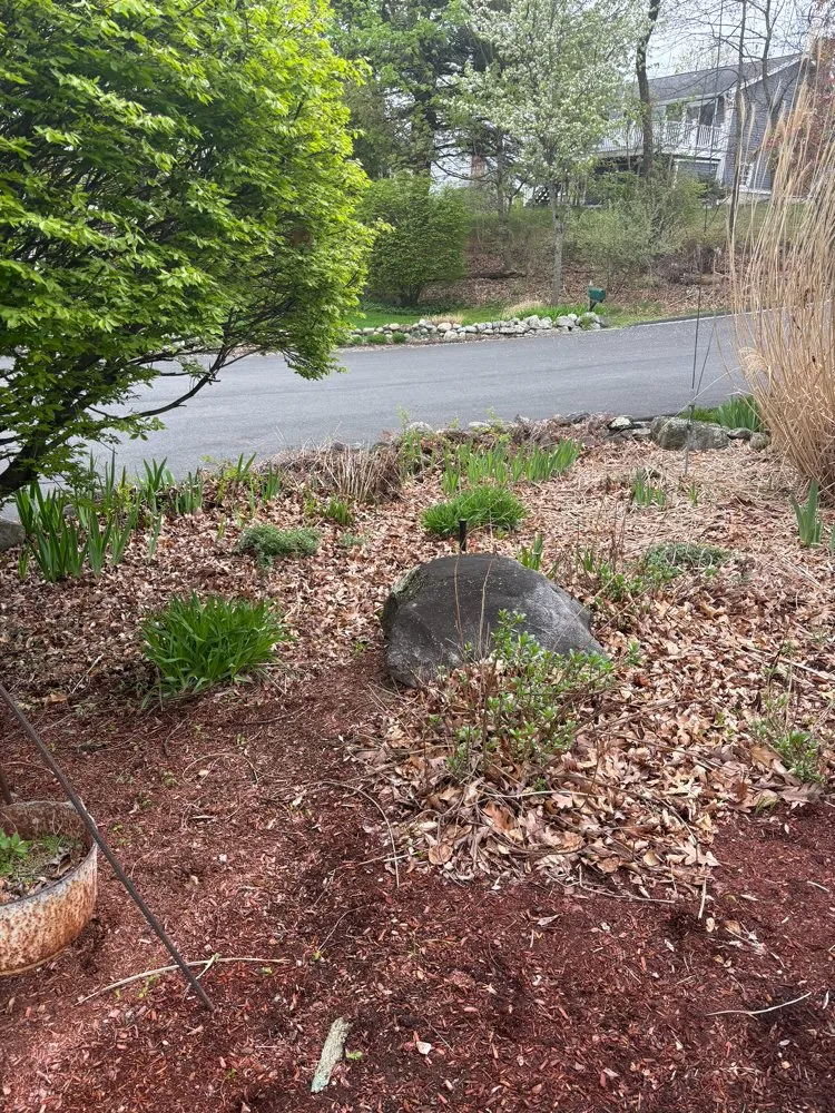 Custom yard maintenance with custom design in Woburn, MA by Sette Bello Landscaping